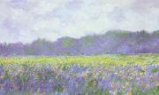 Claude Monet Field of Yellow Iris at Giverny Sweden oil painting artist